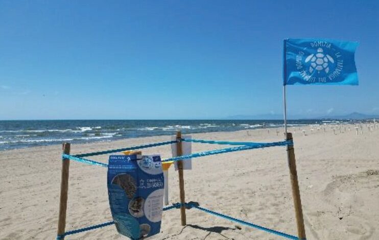 POZZUOLI/ “Caretta Caretta” sulla spiaggia di Licola: scatta il divieto di accesso all’area del nido