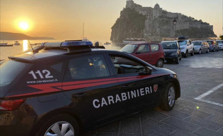 Controlli dei carabinieri in mare e sulla terraferma: pioggia di sanzioni