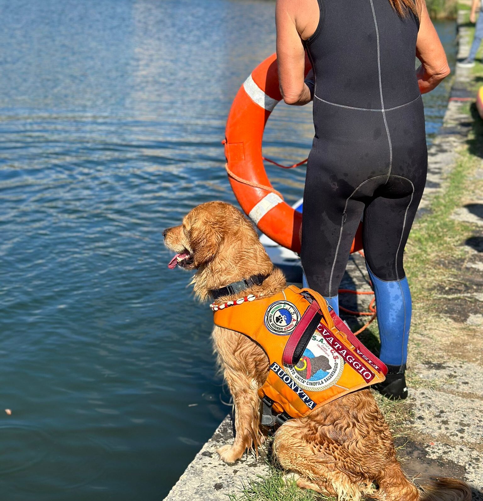 Cani da salvataggio in azione al Lago d’Averno per la campagna “Io non rischio” – LE FOTO