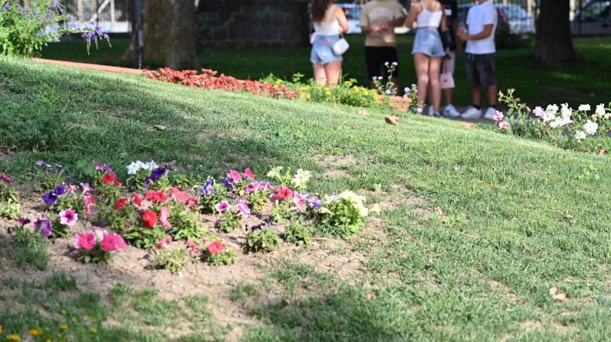 QUARTO/ Lavori di semina e manutenzione del verde, villa comunale off-limits