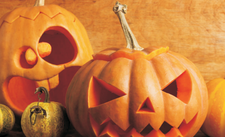 Halloween al Rione Terra il concorso della zucca intagliata