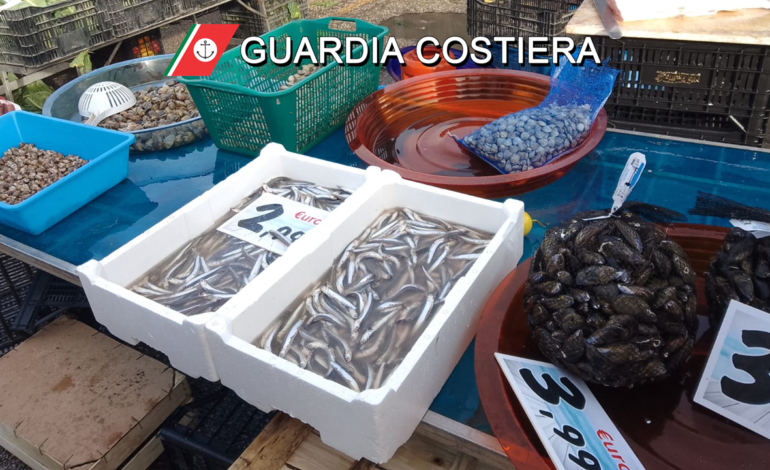 Sequestrati due quintali di pesci e frutti di mare avariati