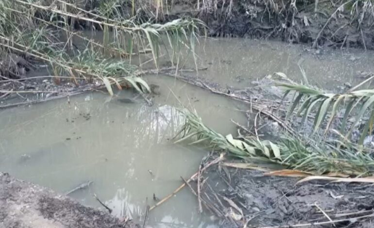 Liquami da un canale a Licola, strade e terreni allagati. SOS degli ambientalisti di Europa Verde: «Rischio disastro, la Regione intervenga»