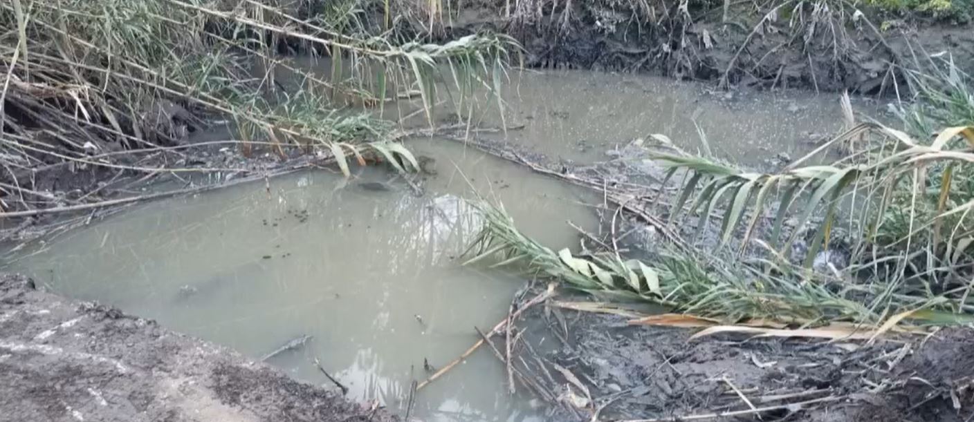 Liquami da un canale a Licola, strade e terreni allagati. SOS degli ambientalisti di Europa Verde: «Rischio disastro, la Regione intervenga»