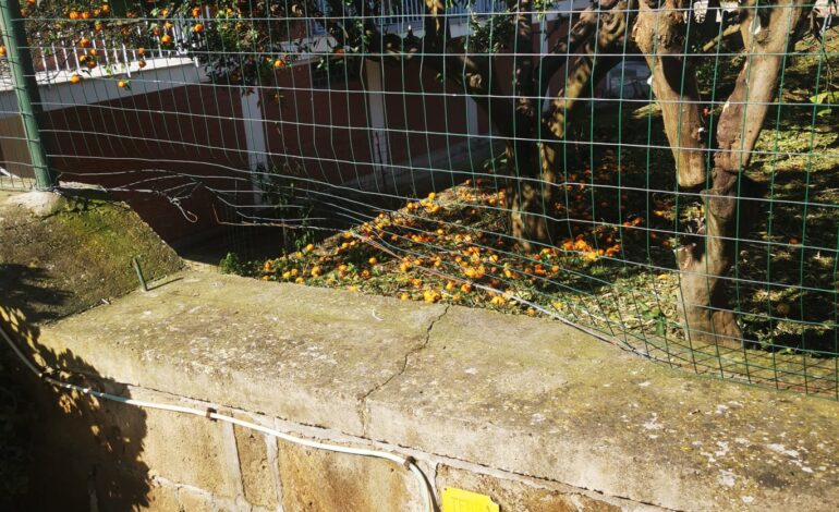 Ladri in una casa a Bacoli sorpresi dai proprietari scappano da un giardino