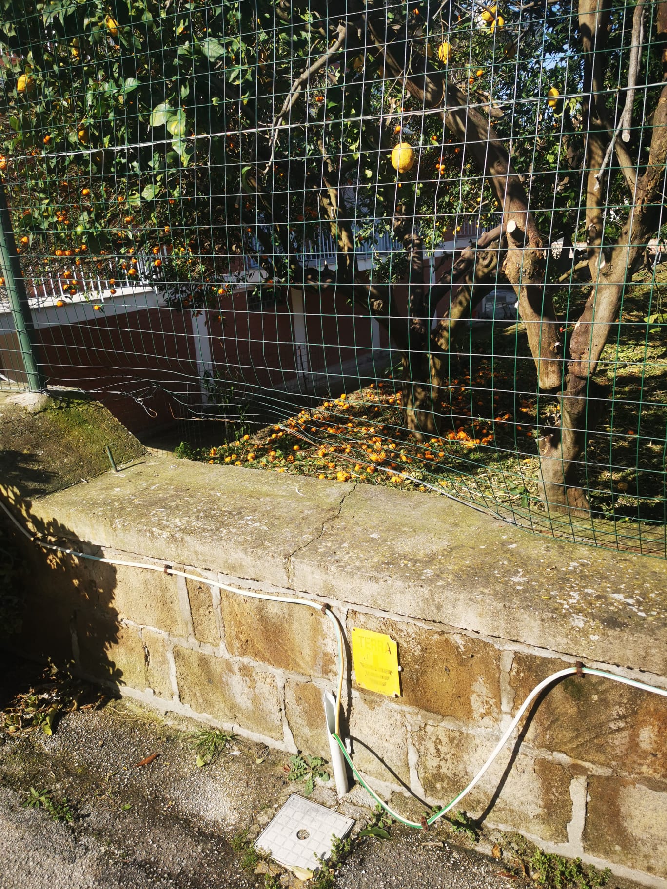 Ladri in una casa a Bacoli sorpresi dai proprietari scappano da un giardino