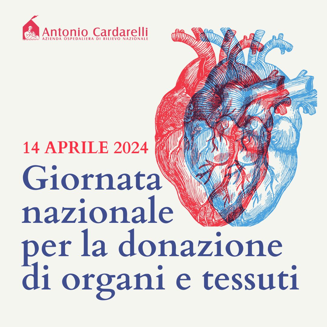 Al Cardarelli prelievo di cuore da un paziente di 75 anni