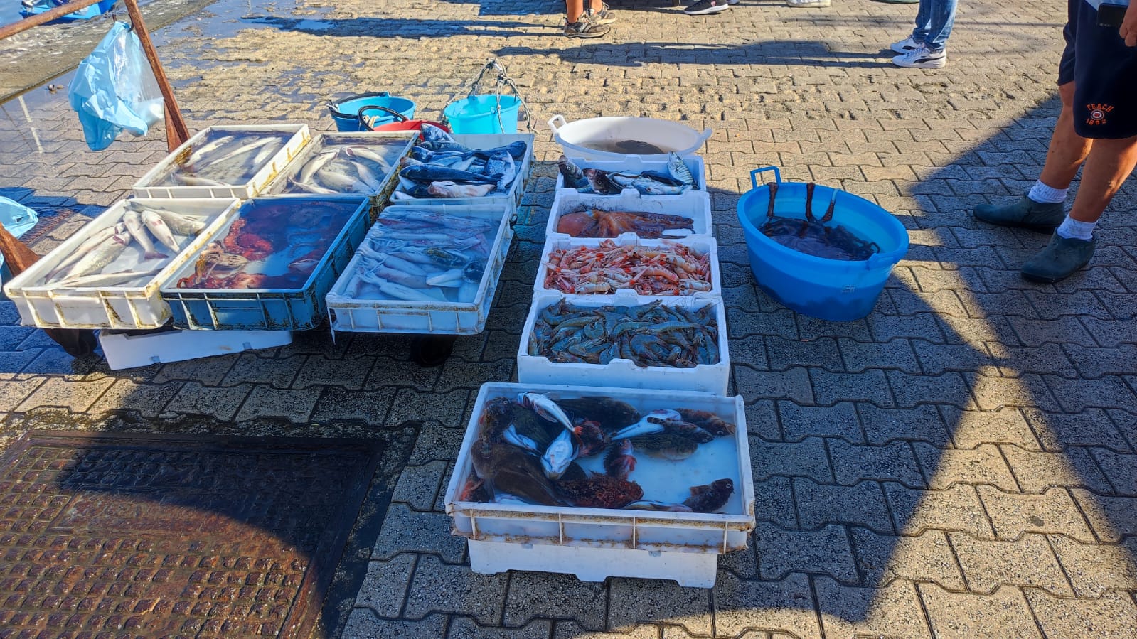 Pesci e frutti di mare sequestrati sul porto di Pozzuoli: multe da 1.500 euro per i venditori