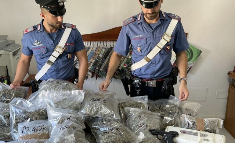 Chili di marijuana, armi e munizioni: arrestate 3 persone