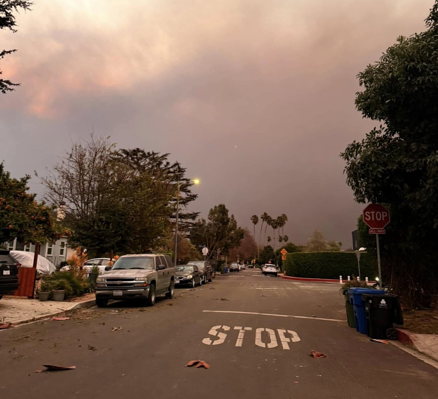 Inferno di fuoco a Los Angeles, il racconto di una puteolana «Incendi feroci, ho la borsa pronta a casa»