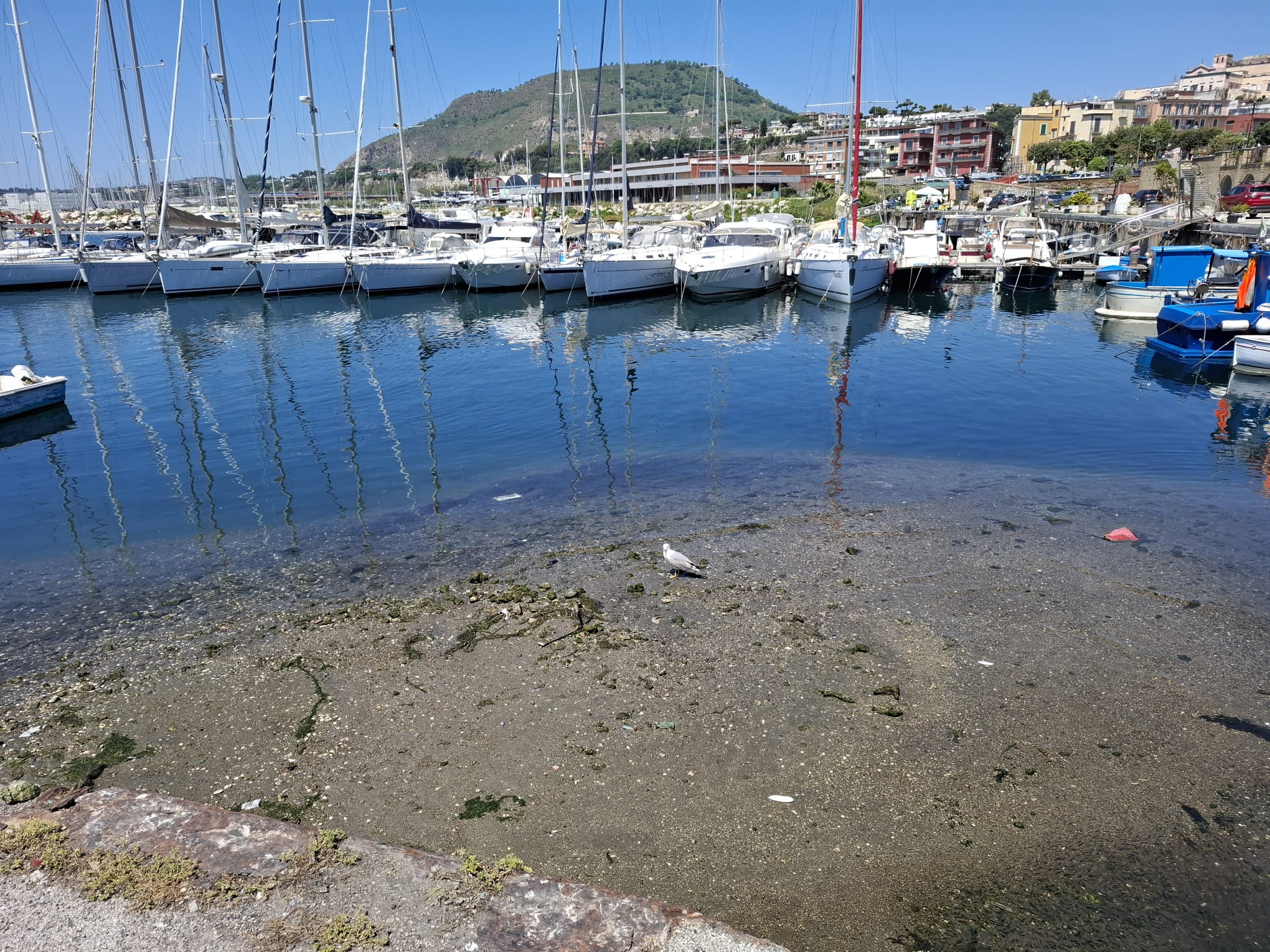 Quarantasei scosse in 4 ore a Pozzuoli: la più forte di magnitudo 4.4