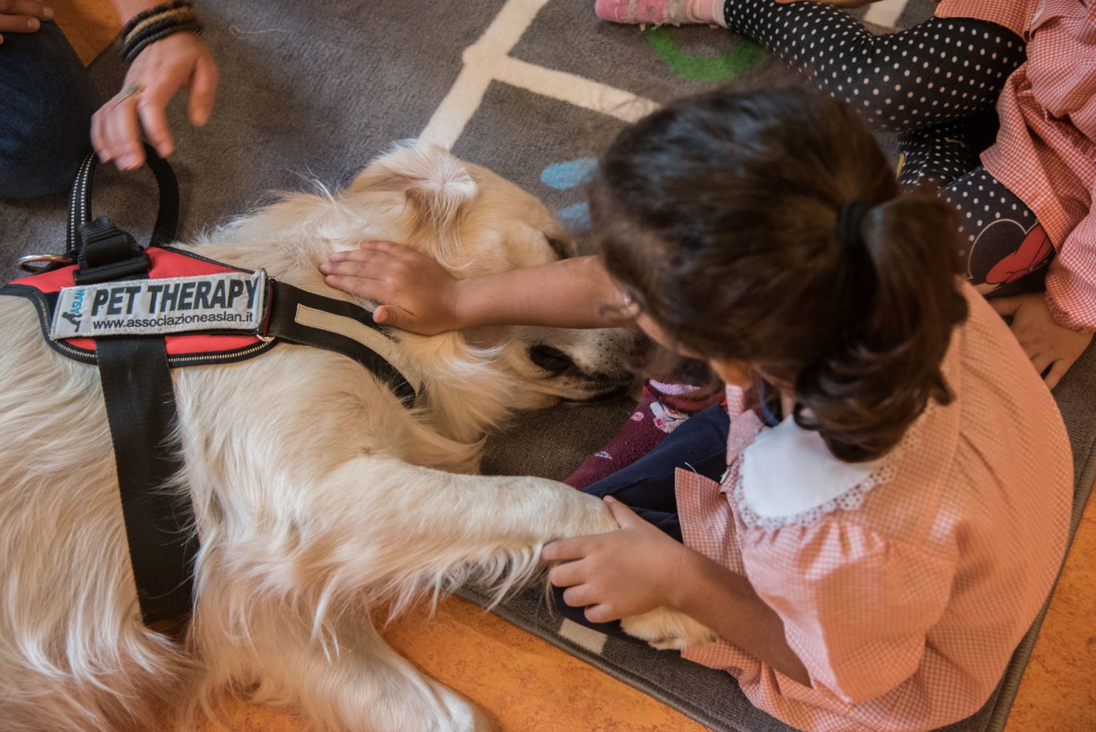 Tutela Animali e Pet Therapy: un legame etico per il benessere comune