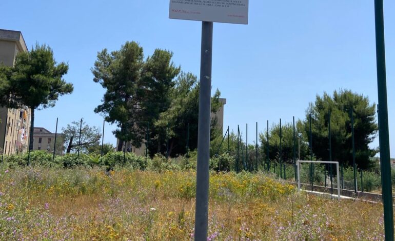 POZZUOLI/ Erba alta e degrado al campetto di Monterusciello «Noi abbandonati dal sindaco Manzoni»