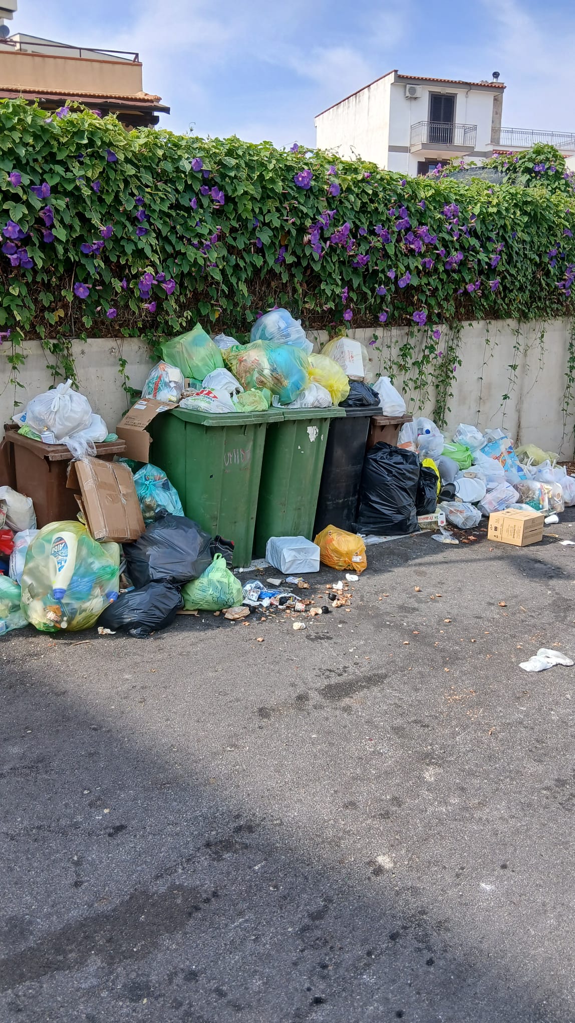 POZZUOLI/ «A Monterusciello rifiuti a terra da 3 giorni»