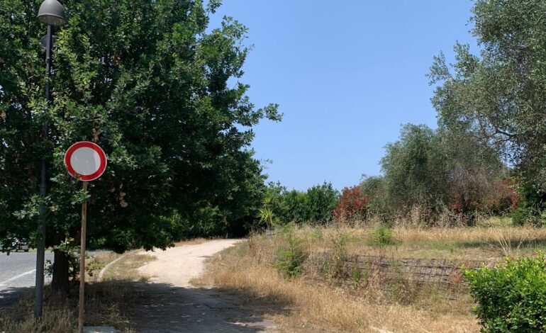 POZZUOLI/ «Il parco urbano non è mai stato così abbandonato. Prima c’era attenzione, oggi no»