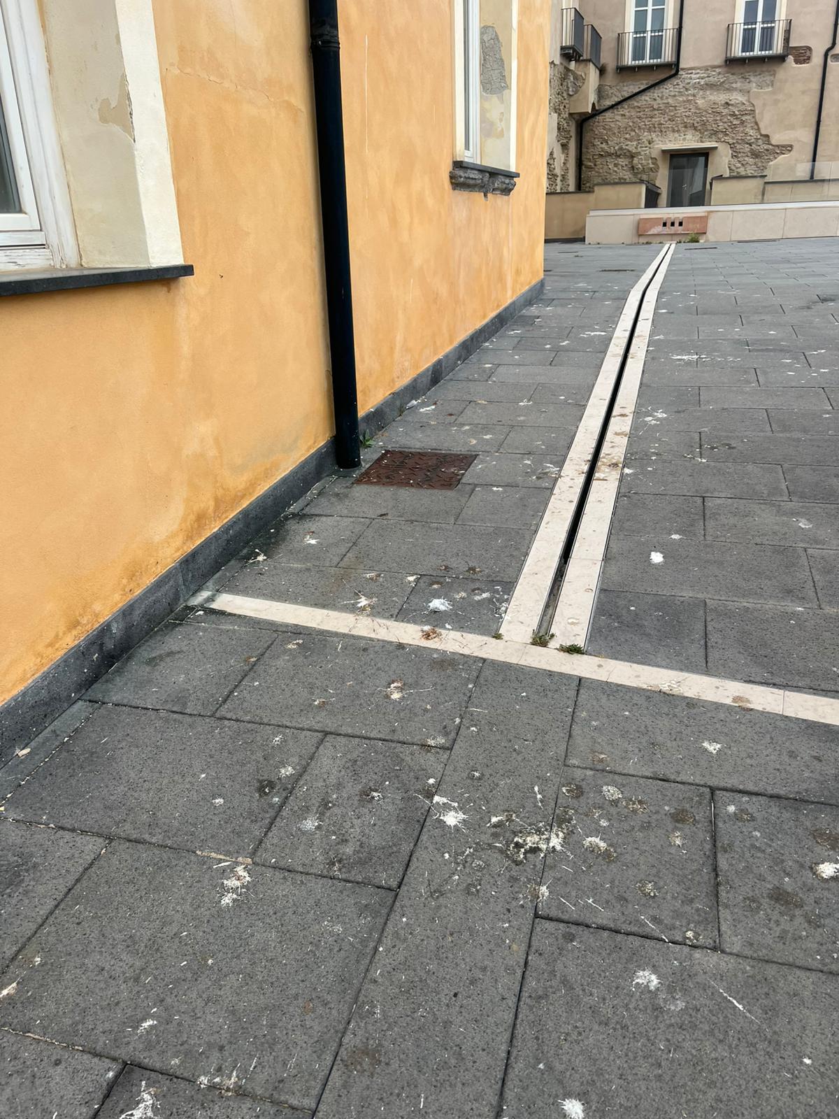 POZZUOLI/ La denuncia: «La mia passeggiata al Rione Terra tra sporcizia ed escrementi» – LE FOTO