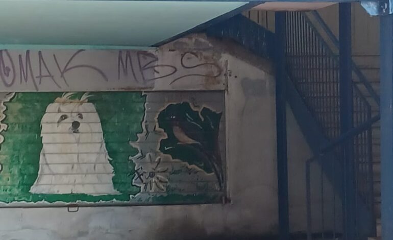 «Degrado all’ingresso dell’ufficio postale di Monterusciello»