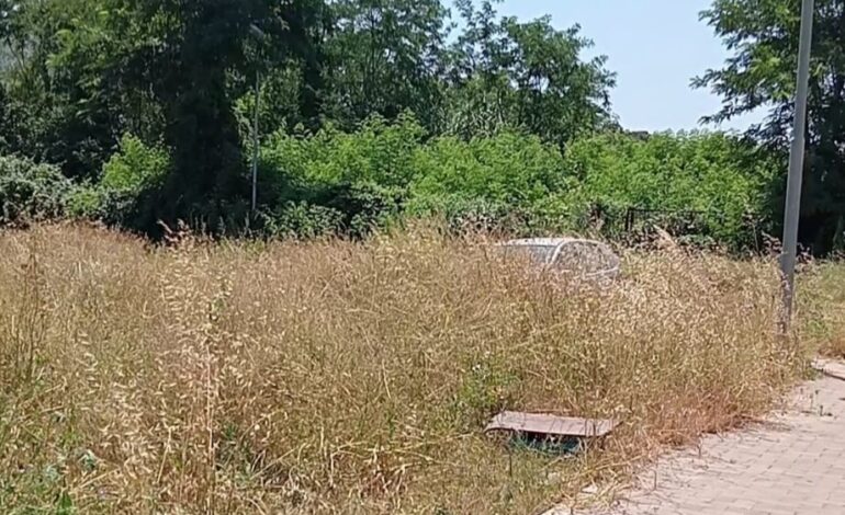 POZZUOLI/ «Erbacce e animali a Monterusciello: ecco lo stato pietoso in cui viviamo»