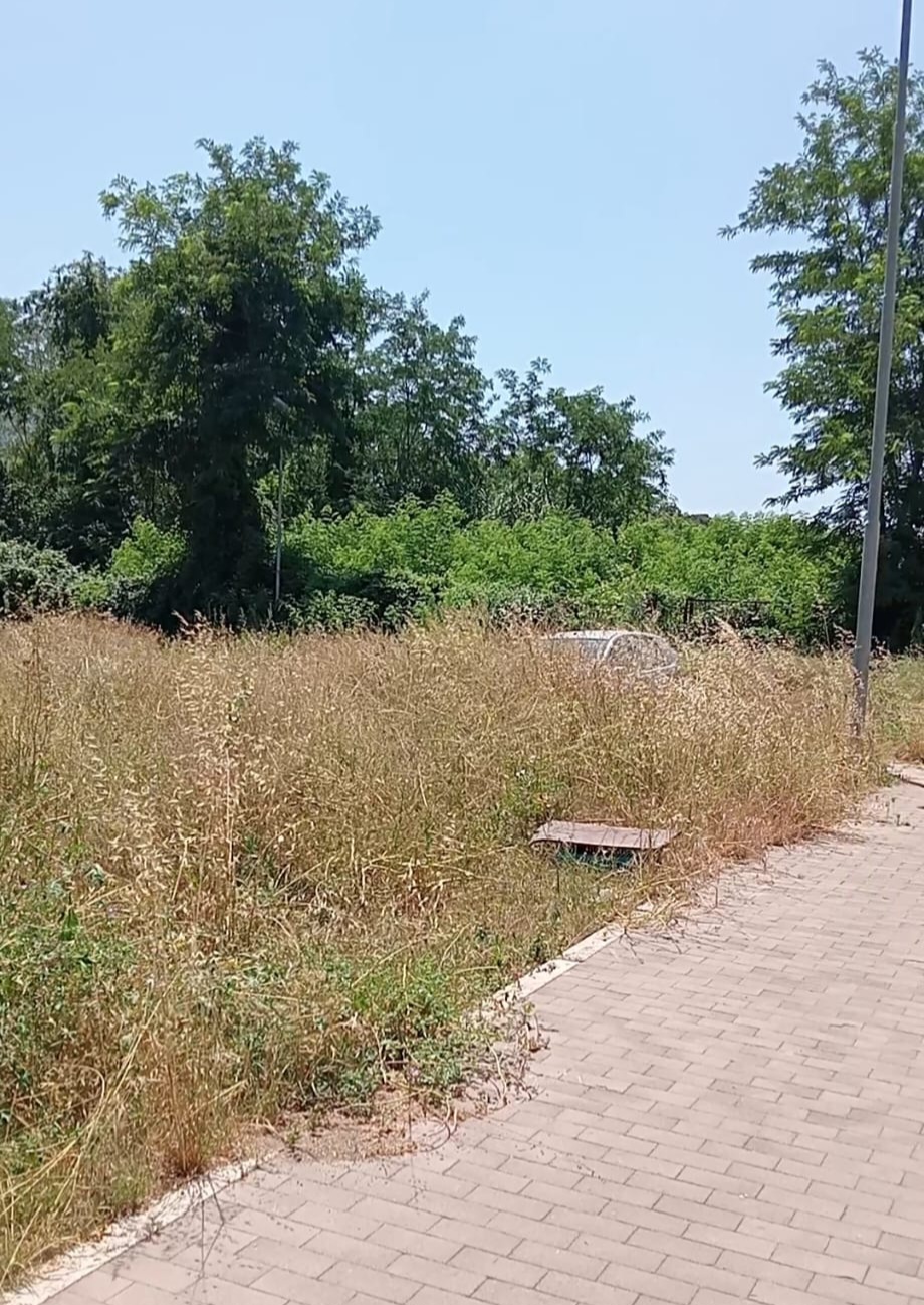 POZZUOLI/ «Erbacce e animali a Monterusciello: ecco lo stato pietoso in cui viviamo»