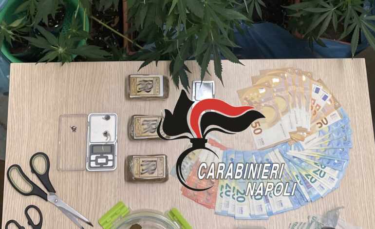 Serra e droga in casa: carabinieri arrestano coppia di pusher