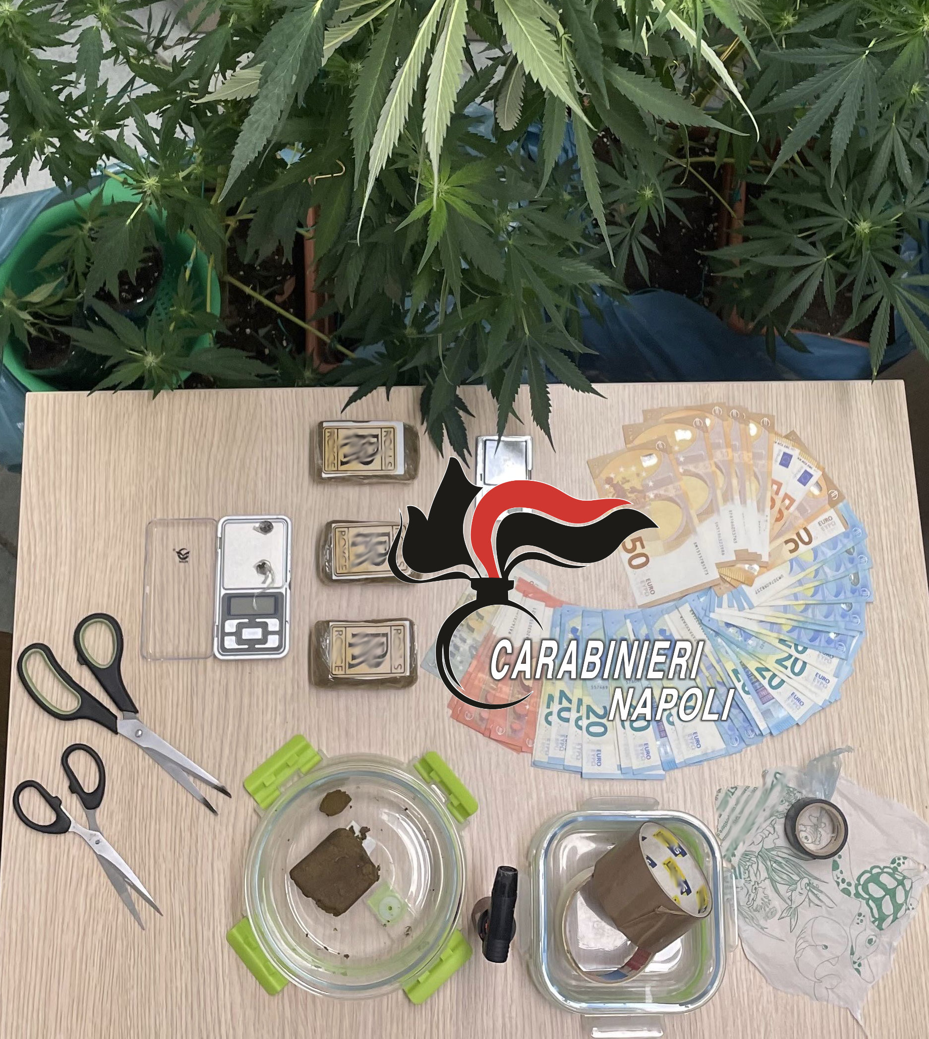 Serra e droga in casa: carabinieri arrestano coppia di pusher