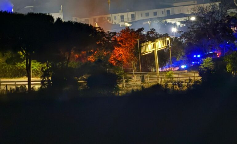 POZZUOLI/ Incendio a Monterusciello, fiamme lambiscono la Foresta Urbana