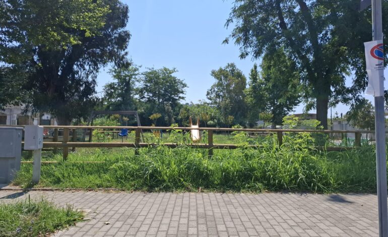 POZZUOLI/ Erbacce, insetti e topi: i bambini di Licola costretti a giocare tra mille insidie «Una vergogna. Portiamo i nostri figli altrove»