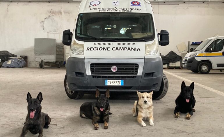 Addestrati a Pozzuoli i cani molecolari specializzati nella ricerca delle persone scomparse