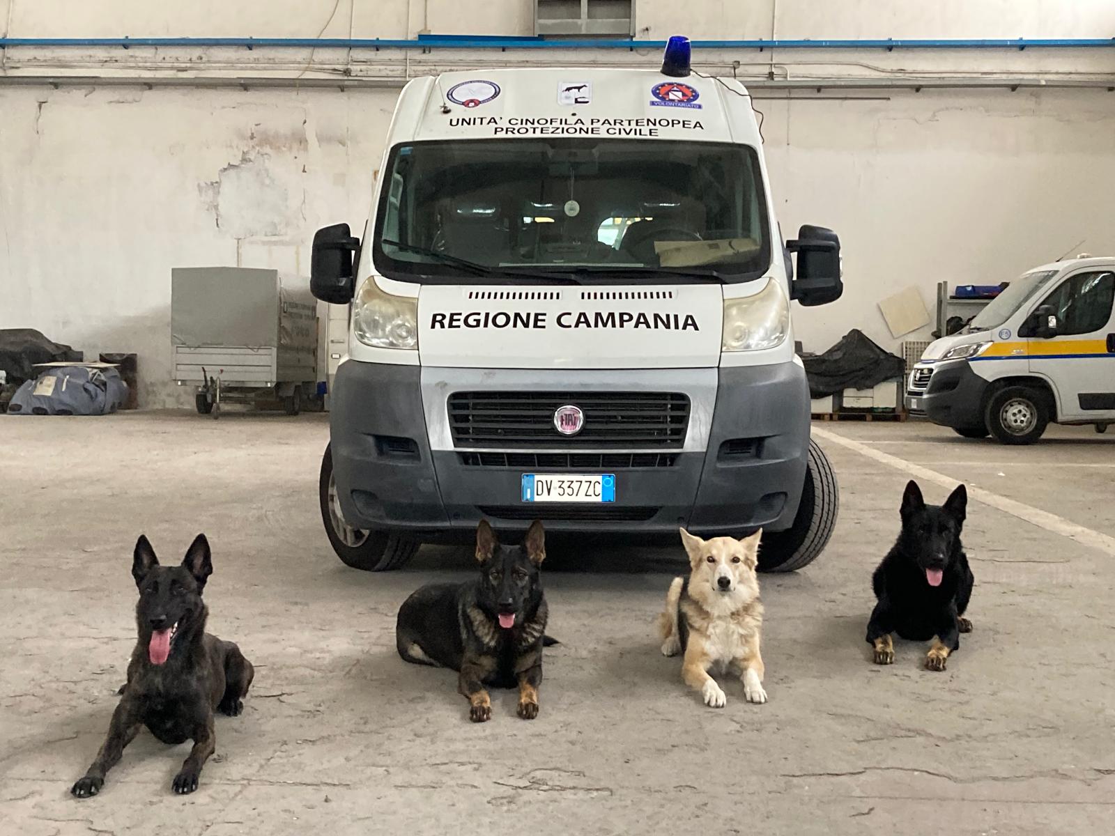 Addestrati a Pozzuoli i cani molecolari specializzati nella ricerca delle persone scomparse