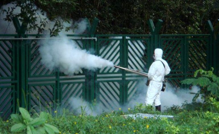 A Pozzuoli parte la disinfestazione contro la zanzara West Nile “Nessuna emergenza, solo prevenzione” – IL CALENDARIO