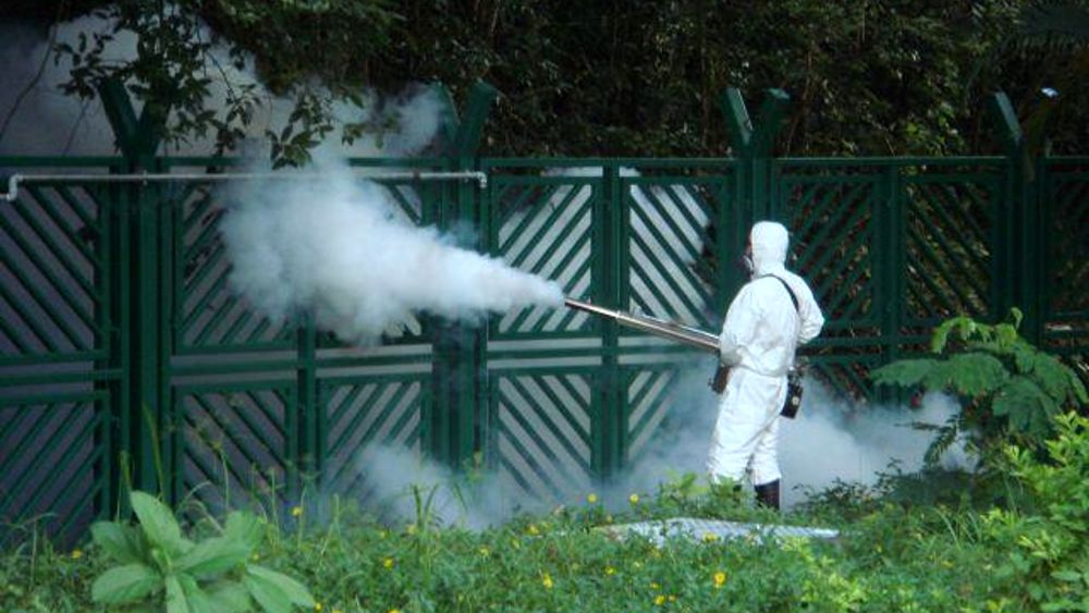 A Pozzuoli parte la disinfestazione contro la zanzara West Nile “Nessuna emergenza, solo prevenzione” – IL CALENDARIO