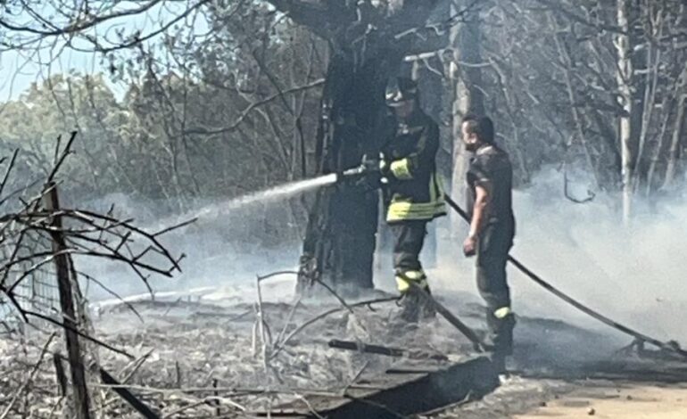 POZZUOLI/ Brucia collina a Monterusciello: fiamme partite dalla variante Anas – LE FOTO