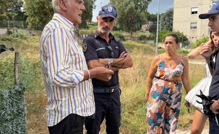 POZZUOLI/ Strage di gatti, assessore ambiente e polizia municipale a Monterusciello