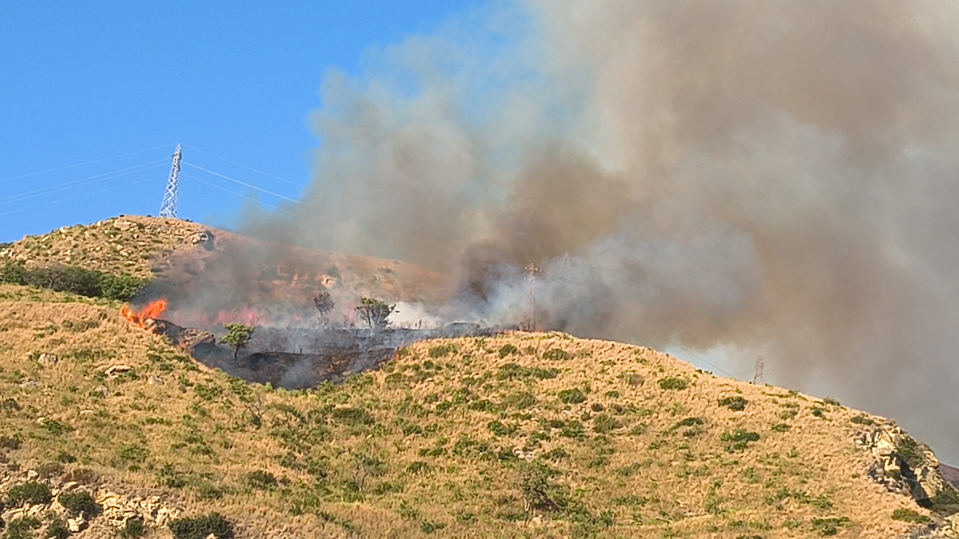 POZZUOLI/ Fiamme sul Monte Barbaro