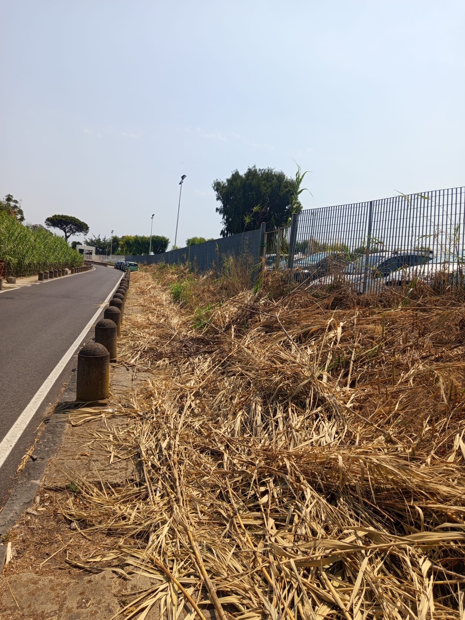 POZZUOLI/ «Ecco come hanno lasciato dopo aver pulito la strada del Lago d’Averno»