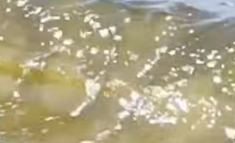 POZZUOLI/ Sversamenti nel mare di Licola, scatta l’indagine