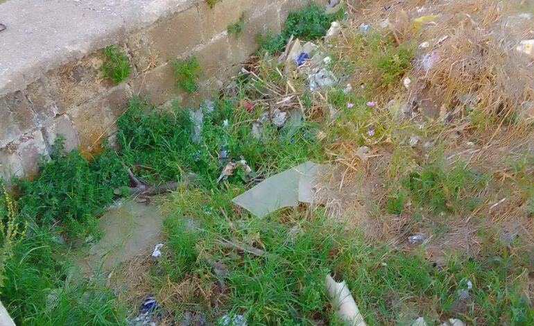 POZZUOLI/ «Degrado nei giardinetti al Rione Toiano»