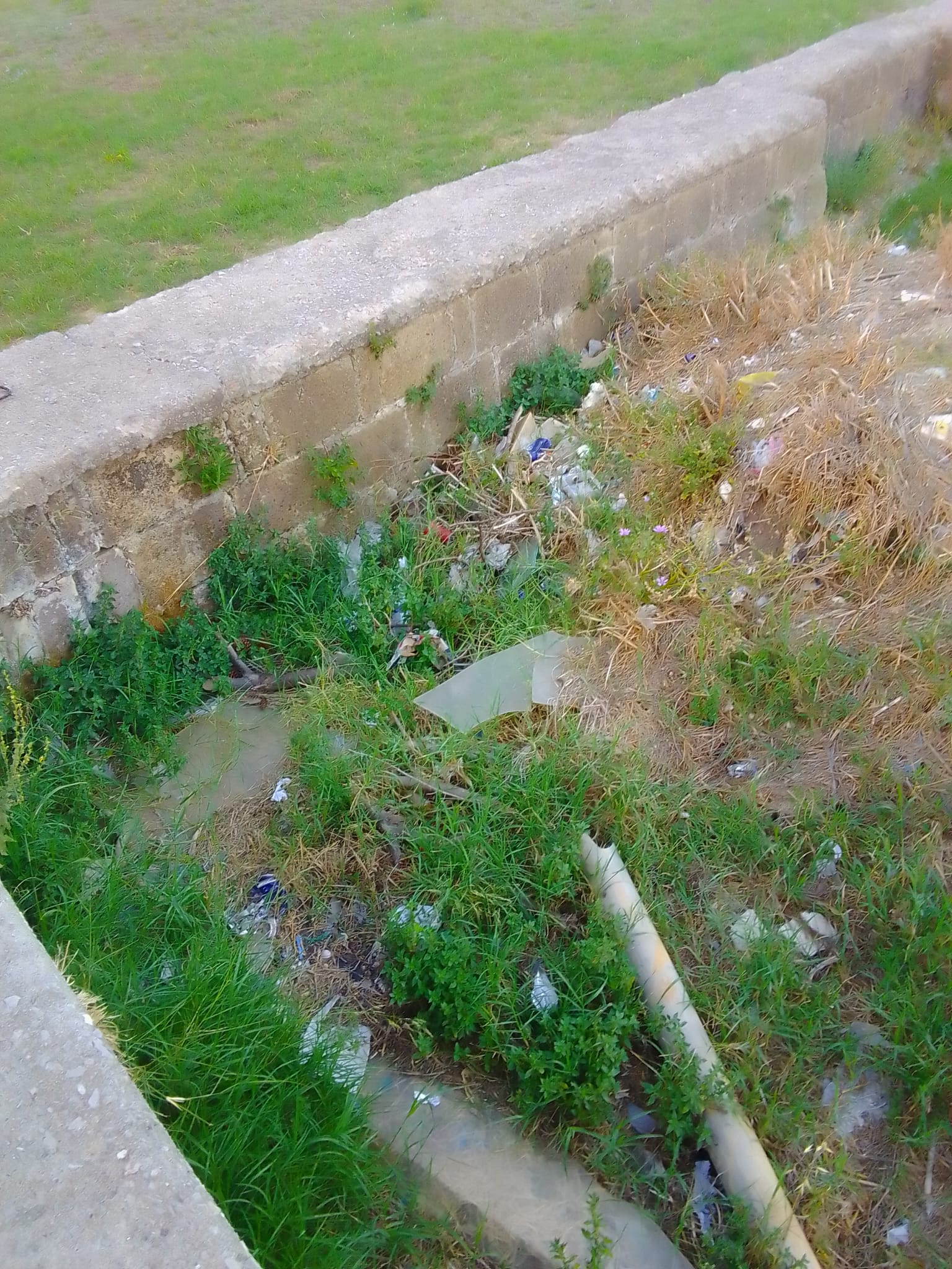 POZZUOLI/ «Degrado nei giardinetti al Rione Toiano»