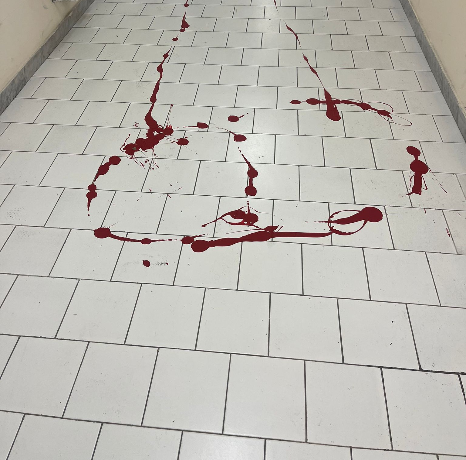 POZZUOLI/ Vandalizzato il Liceo Virgilio