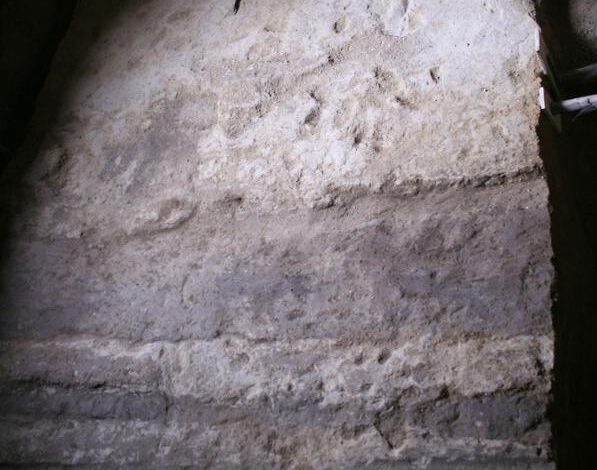 Slitte e animali bipedi: a Pozzuoli scoperti resti di 4mila anni fa