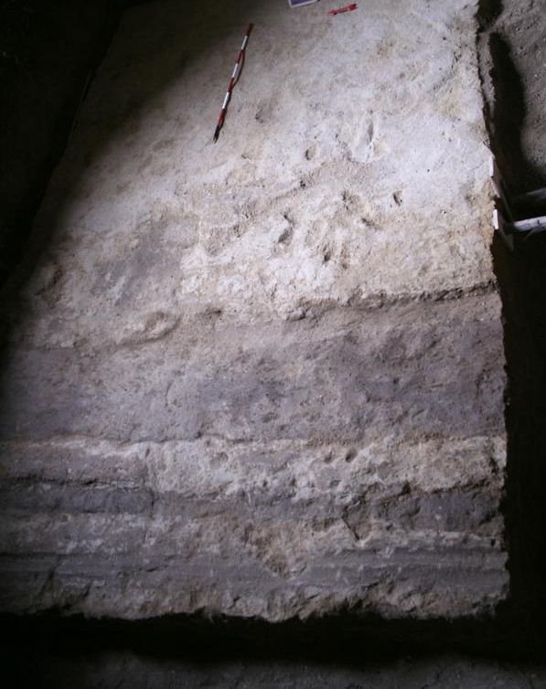 Slitte e animali bipedi: a Pozzuoli scoperti resti di 4mila anni fa