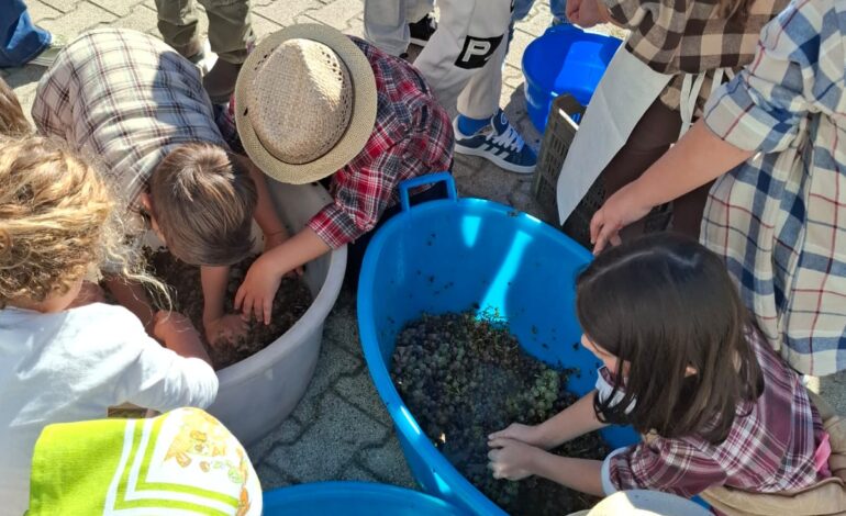 POZZUOLI/ Studenti-contadini per un giorno: festa del raccolto alla scuola Reginelle – LE FOTO