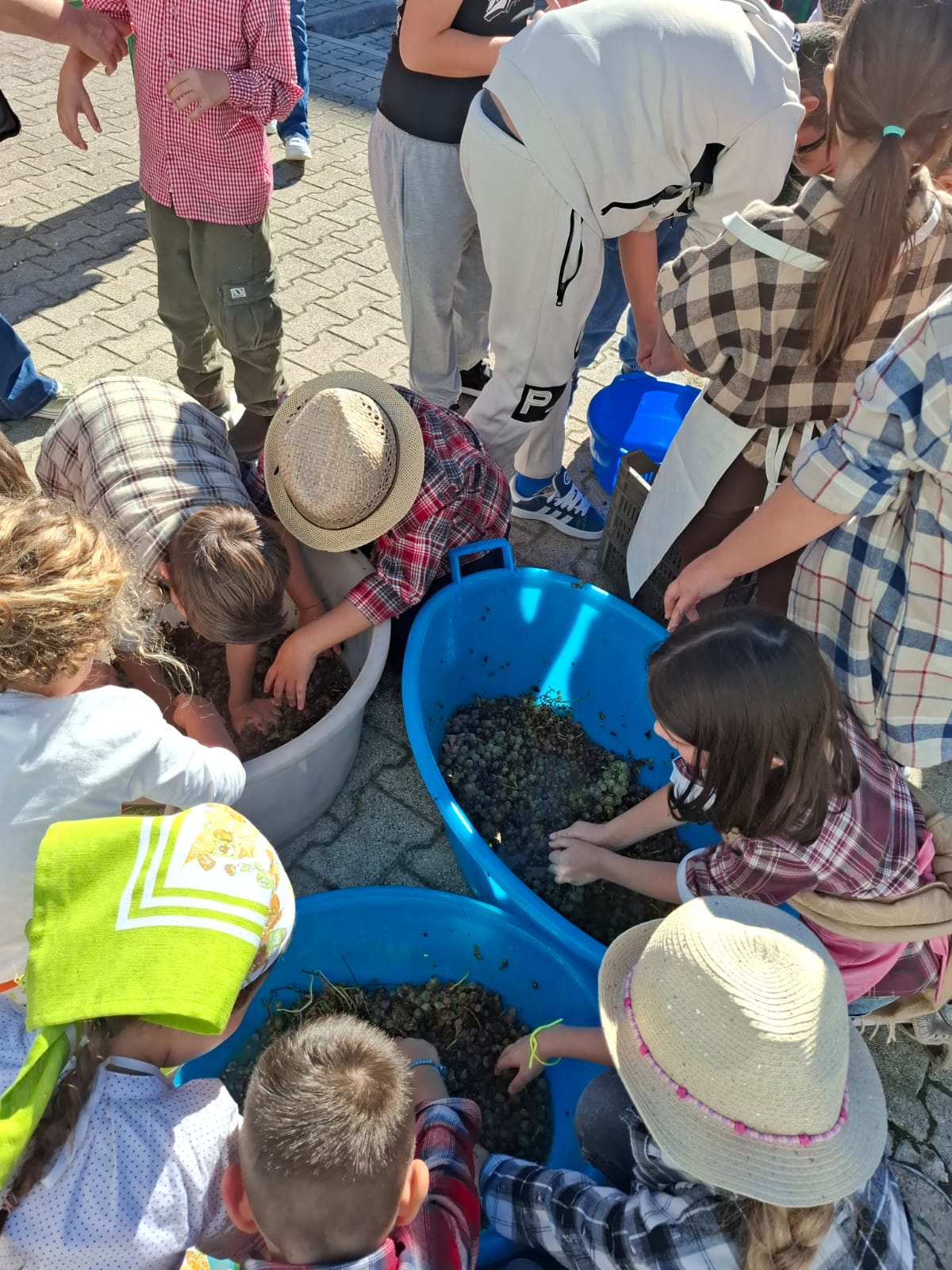 POZZUOLI/ Studenti-contadini per un giorno: festa del raccolto alla scuola Reginelle – LE FOTO
