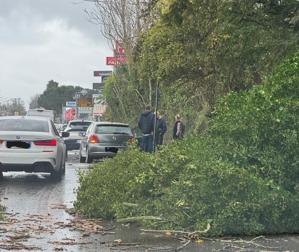 Maltempo, albero cade e colpisce due auto a Pozzuoli