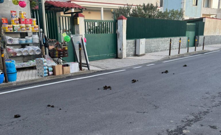 POZZUOLI/ A Licola mare strada invasa da escrementi di cavalli, insorgono residenti e commercianti