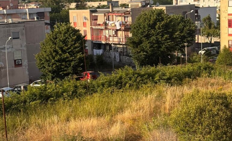 POZZUOLI/ «Invasi da topi e serpenti al lotto 2 di Monterusciello»