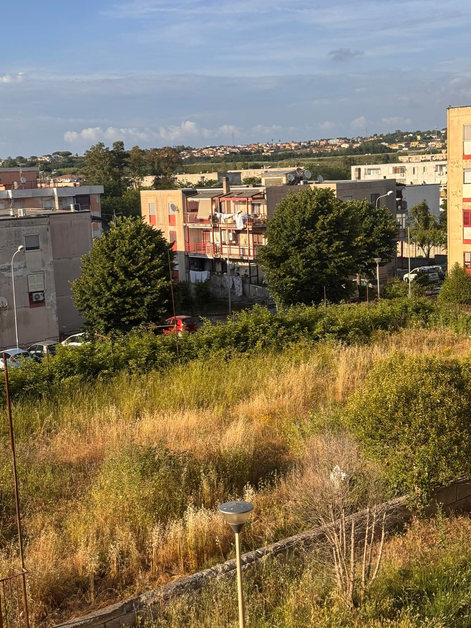 POZZUOLI/ «Invasi da topi e serpenti al lotto 2 di Monterusciello»