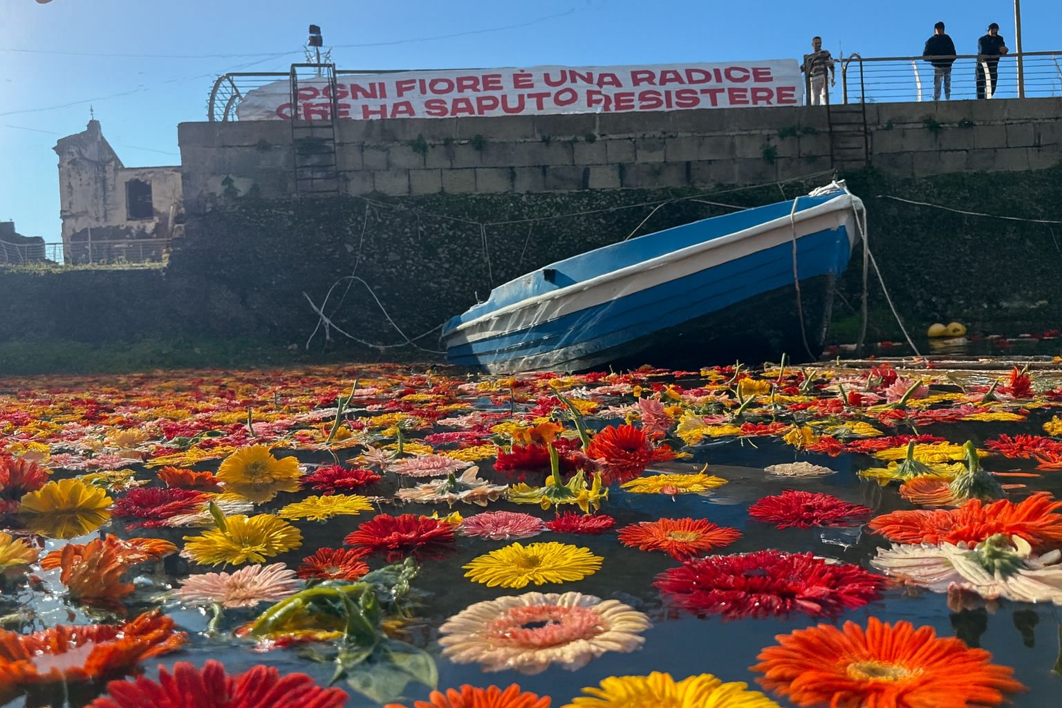 Fiori nella Darsena di Pozzuoli: il simbolo della rinascita dei commercianti – LE FOTO