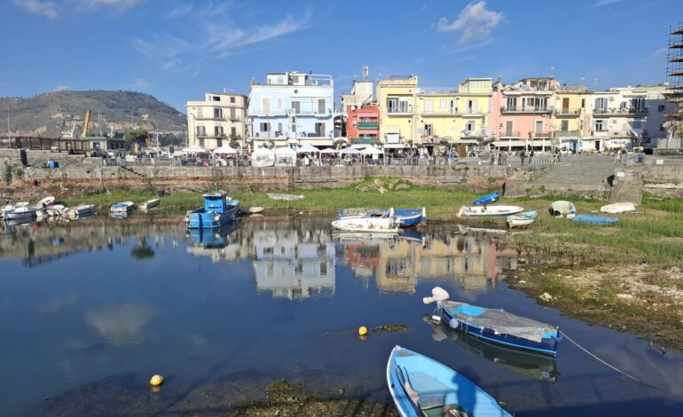 Duemila fiori nella Darsena di Pozzuoli: l’iniziativa del comitato dei commercianti