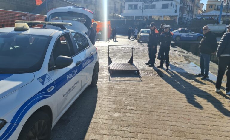 Polpi, seppie, calamari e mazzancolle “fuorilegge” sul porto di Pozzuoli: sequestrati 55 kg di pescato